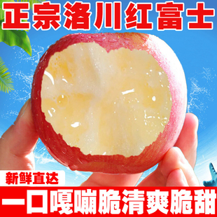 正宗陕西洛川红富士苹果整箱一级新鲜水果好吃脆甜特产产地直发