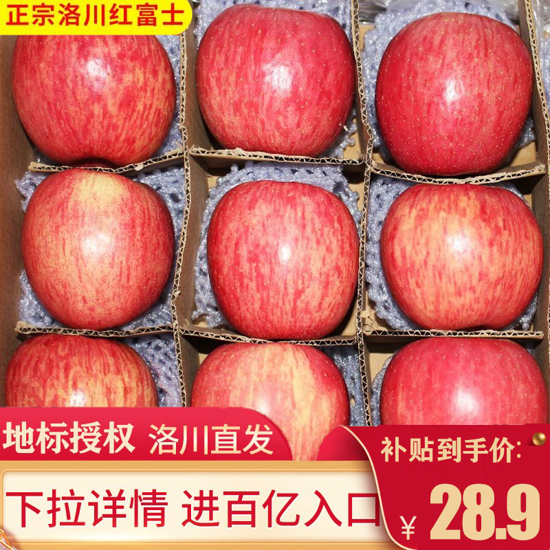 正宗洛川红富士苹果水果陕西当季新鲜带箱10斤脆甜产地发货包邮