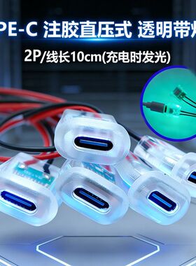 typec2P注胶直压式母座透明带灯台灯椭圆充电口 汽车电动车连接器