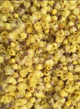 新鲜腊梅鲜花正宗素心腊梅可食用鲜花可做纯露现采现发鲜2026