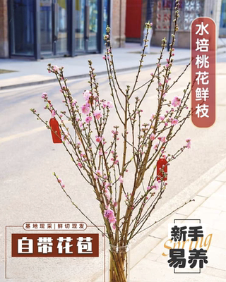 干枝插水新鲜桃花客厅装饰摆件