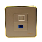 Lonasna莱山电工香槟色金框面板语音电话RJ11网络RJ45光纤电视