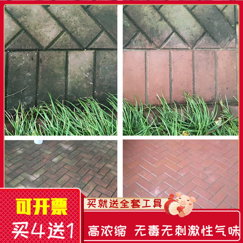 除青苔水泥地面苔藓去除剂墙面水池水藻除苔剂清除液5斤装买4送1