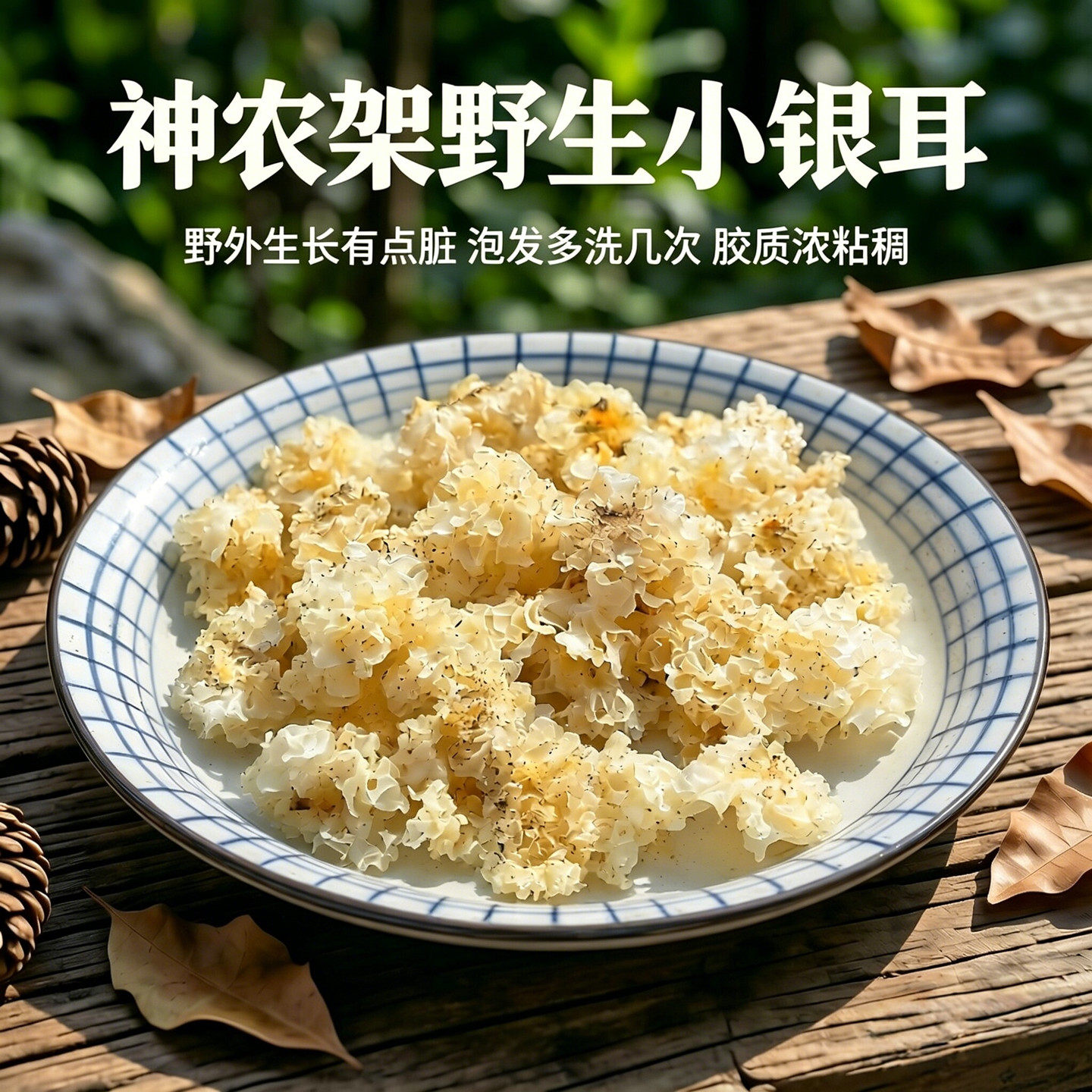 神农架椴木野生小银耳白木耳软糯胶质浓粘稠天然无硫熏雪耳新干货