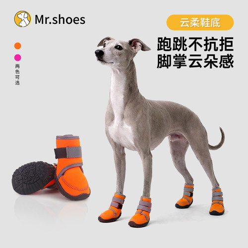 金毛萨摩耶中大型犬防掉狗狗鞋子