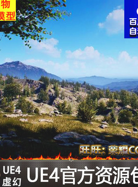 UE4虚幻4 Brushify - Forest Pack 漂亮森林山脉草原地貌材质场景