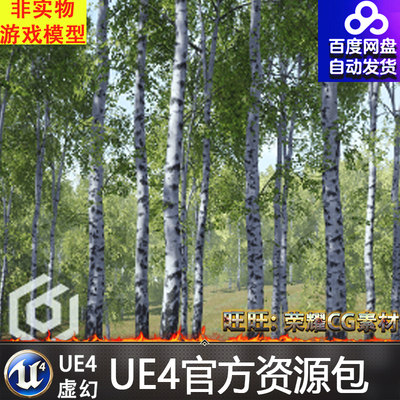 虚幻4 Trees Birch Tree 森林树木UE4桦树树林环境场景植物道具