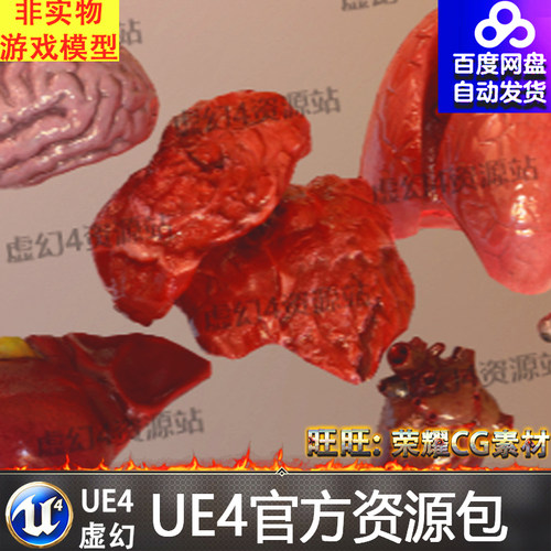 UE4虚幻4 Internal Organs Collection 游戏内胀器官肺大脑道具