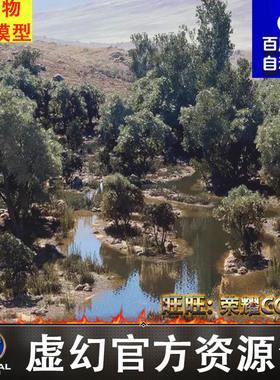 UE5戈壁公路湿地树木灌木植被植物场景Steppe Environment 4x4km