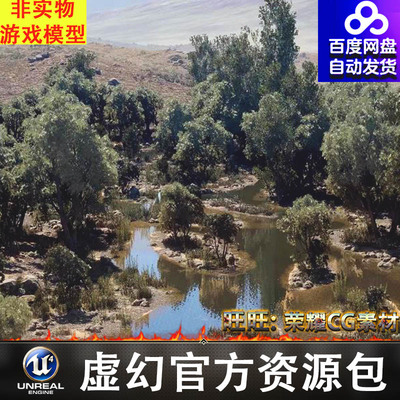 UE5戈壁公路湿地树木灌木植被植物场景Steppe Environment 4x4km