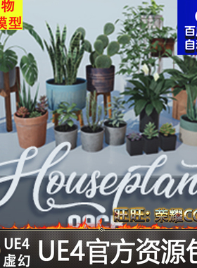 UE4 Houseplant Pack - Interior and Exterior Plants 室内盆栽