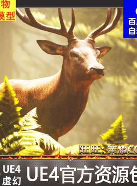 UE4红色麋鹿森林雄性虚幻4鹿动物 Animalia - Red Deer male