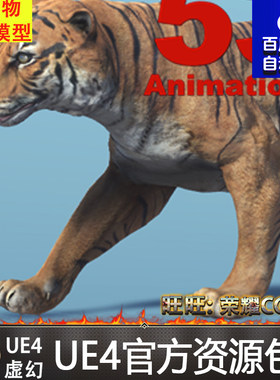 UE4大老虎白虎猛虎动画 Asian Animal - Tiger 虚幻4模型