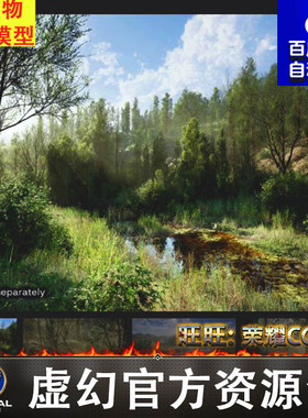 UE5 程序化pcg森林河道水草PCG Biome: Forest Poplar 5.4-5.4.3