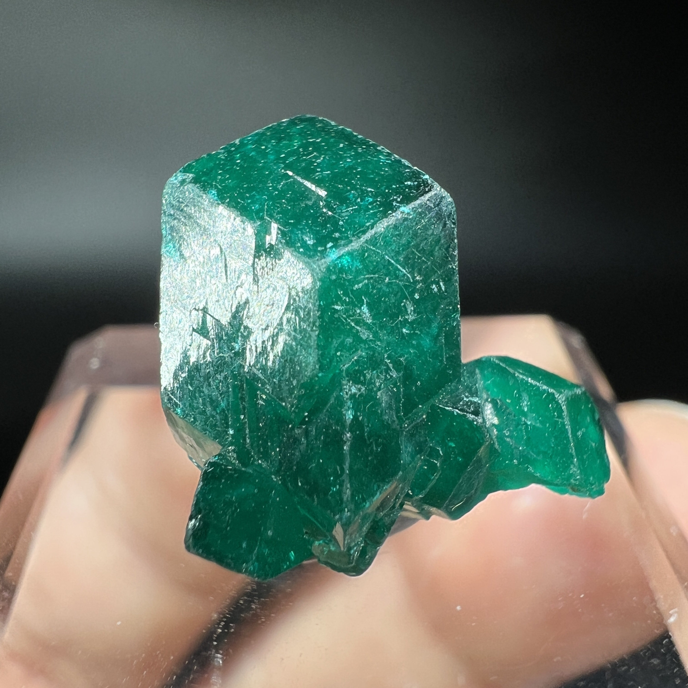 浮生翠铜矿(透视石) Dioptase 精品 矿物晶体 矿物标本 原石