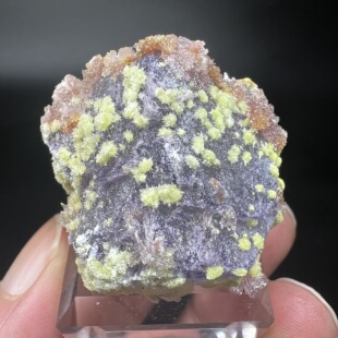 水氟铝钙石Carlhintzeite +氟铝石膏 精品矿物晶体矿物标本矿石