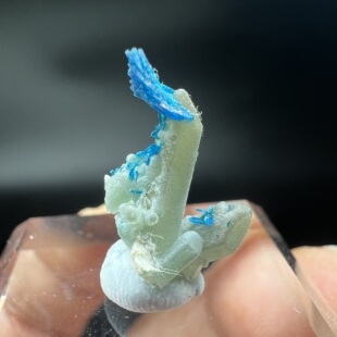 磷酸锌铜矿Veszelyite + 水晶 精品天然矿物晶体矿物标本原石矿石