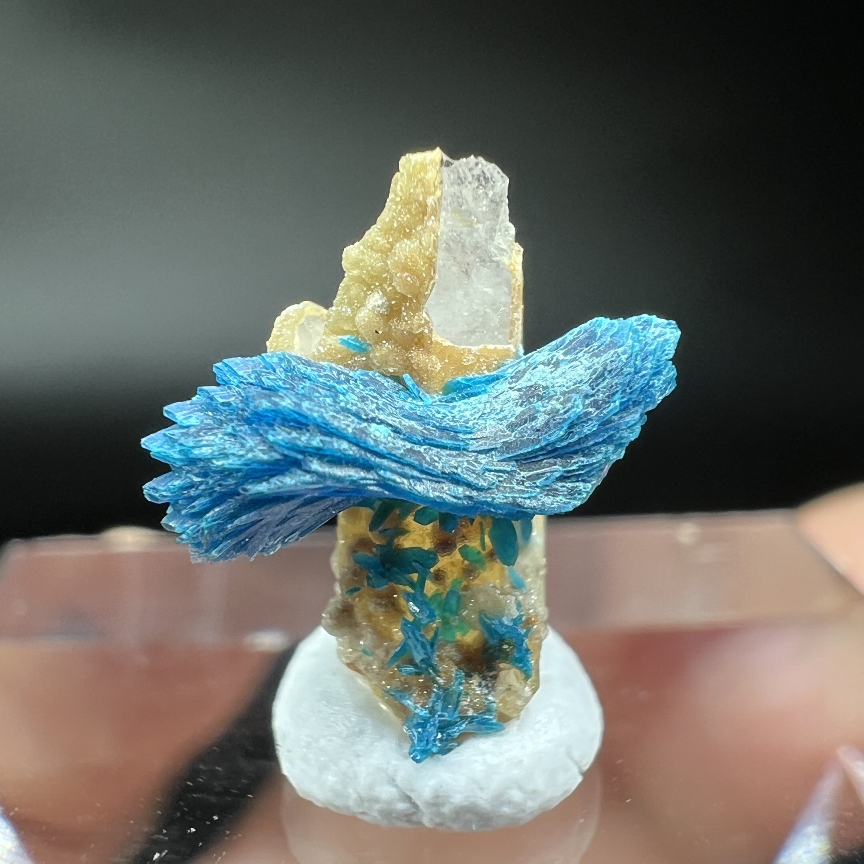 蝴蝶结磷酸锌铜矿Veszelyite 精品矿物晶体矿物标本矿石宝石原石
