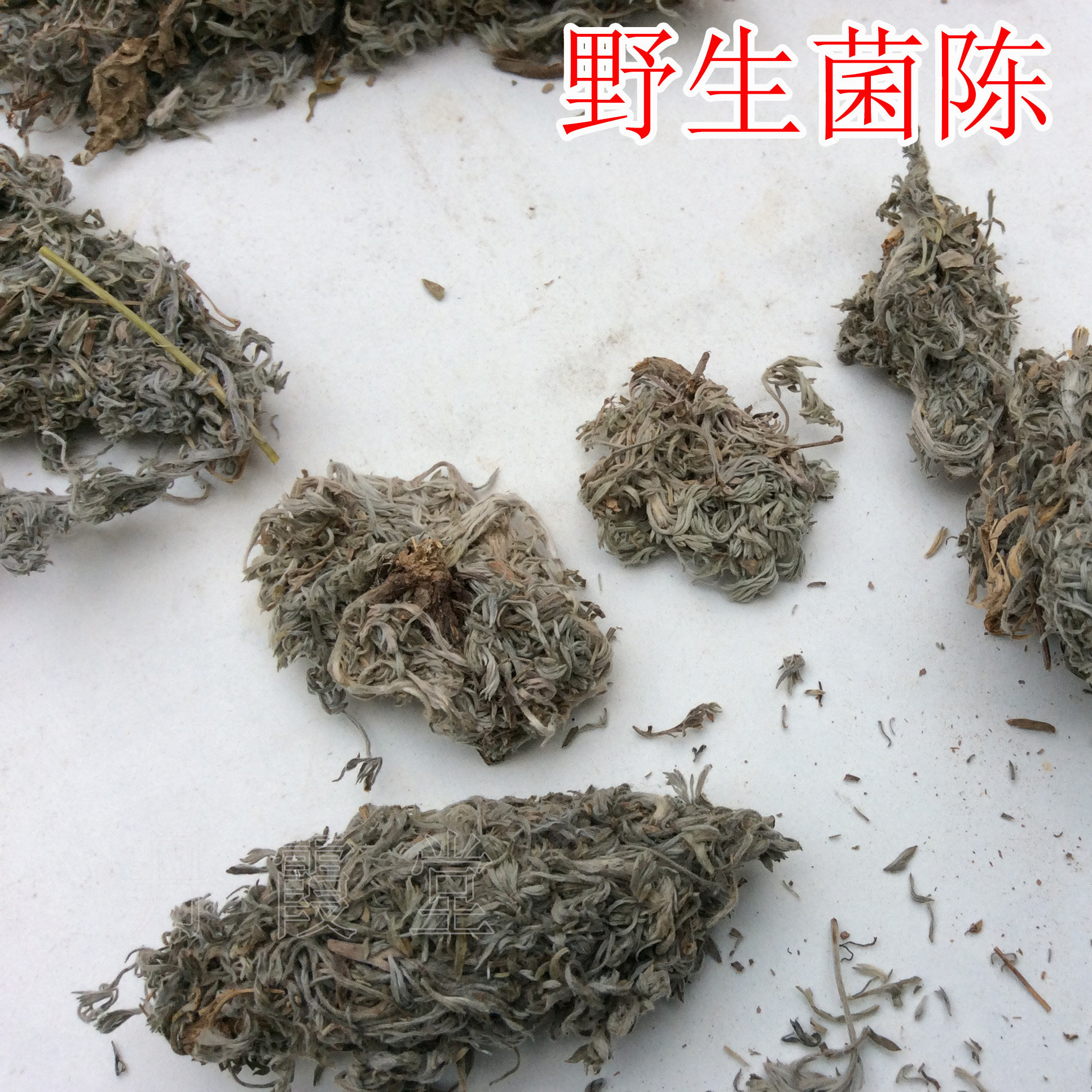 野生菌陈茵陈篙绵菌陈清湿热退黄胆超标洗黄胆中药材中草药干品