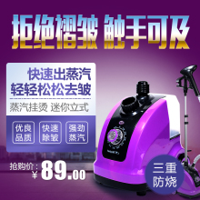 蒸汽挂烫机迷你家用手持挂式 电熨斗大功率熨烫机熨烫衣服 立式