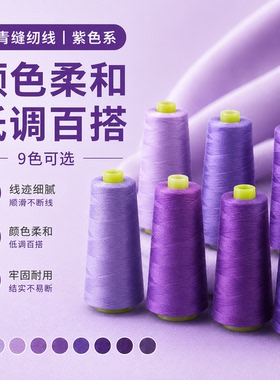 柳青牌缝纫机线 紫色系40s/2  3000码高速涤纶线家用手缝线宝塔线