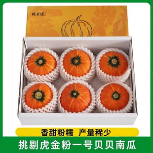 挑剔虎金粉一号贝贝南瓜礼盒装 粉糯板栗贝贝小南瓜