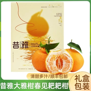 昔雅大雅柑春见耙耙柑礼盒清甜多汁新鲜丑八怪蜜橘包邮