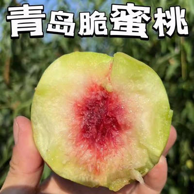 山东金秋红蜜桃子寒露应季水果山东脆甜硬桃红心离核秋冬桃非鹰嘴