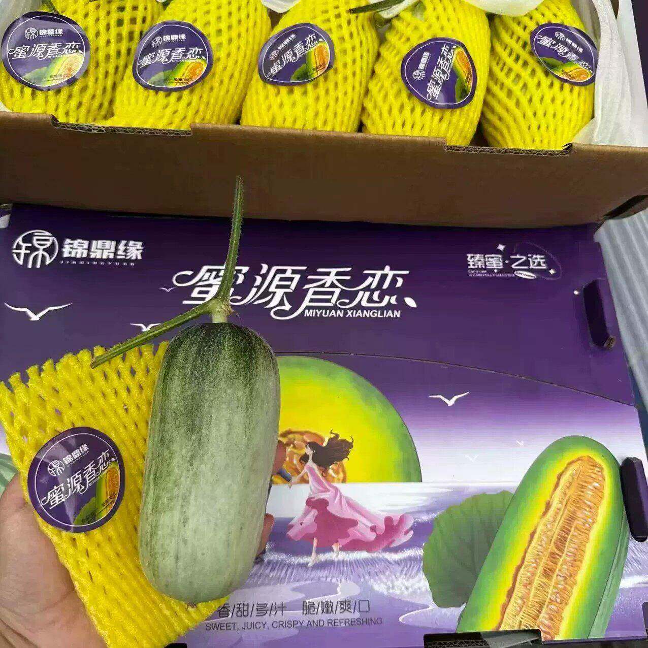 新货羊角蜜甜瓜礼盒装当季新鲜水果蜜源18号蜜瓜脆甜多汁小香瓜