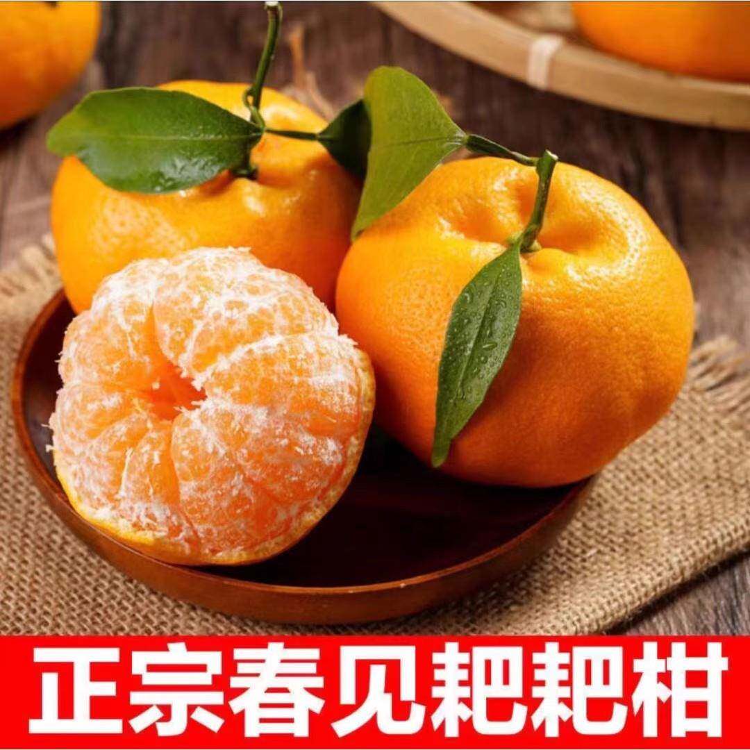 高甜耙耙柑春见9甜1酸绝妙大果新鲜酸甜浓郁多仓发货春见包邮