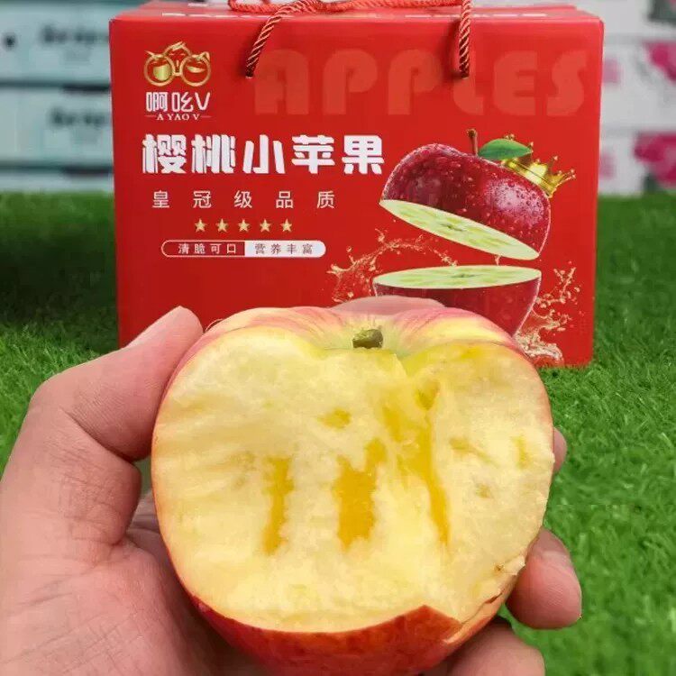 云南樱桃小苹果礼盒当季新鲜采摘脆甜冰糖心苹果5斤产自昭通