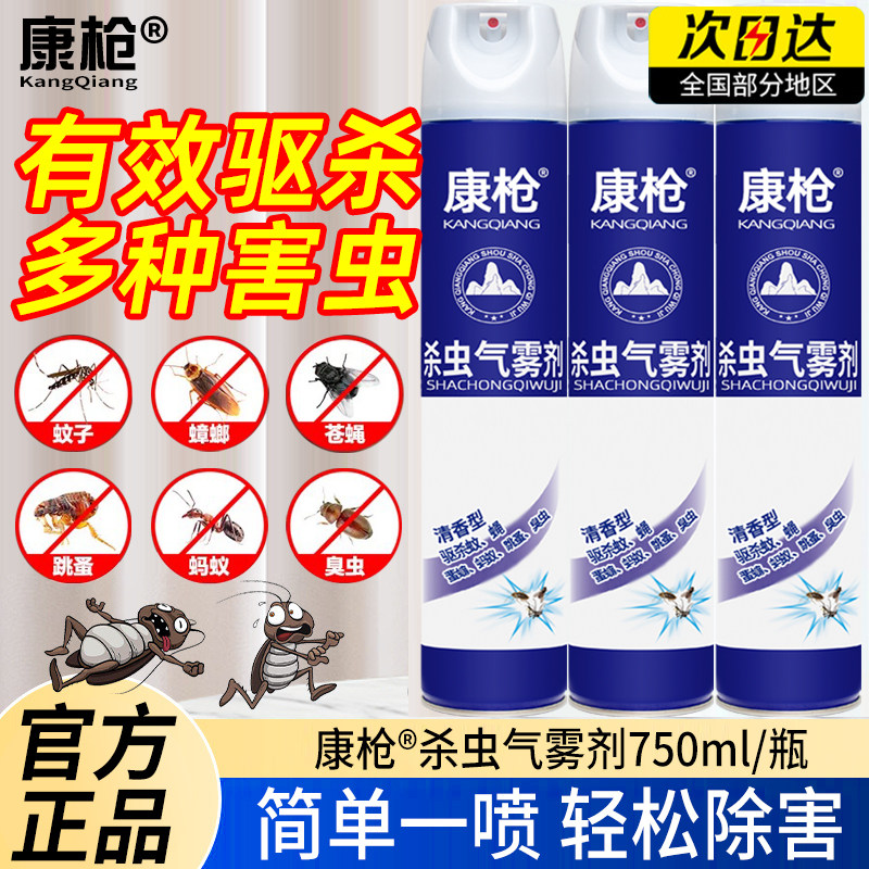 康枪杀虫剂气雾剂灭蚊喷雾剂整箱
