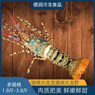 花龙虾3斤特大澳洲龙虾鲜活水产青龙虾冷冻深水虾超大澳龙东山岛