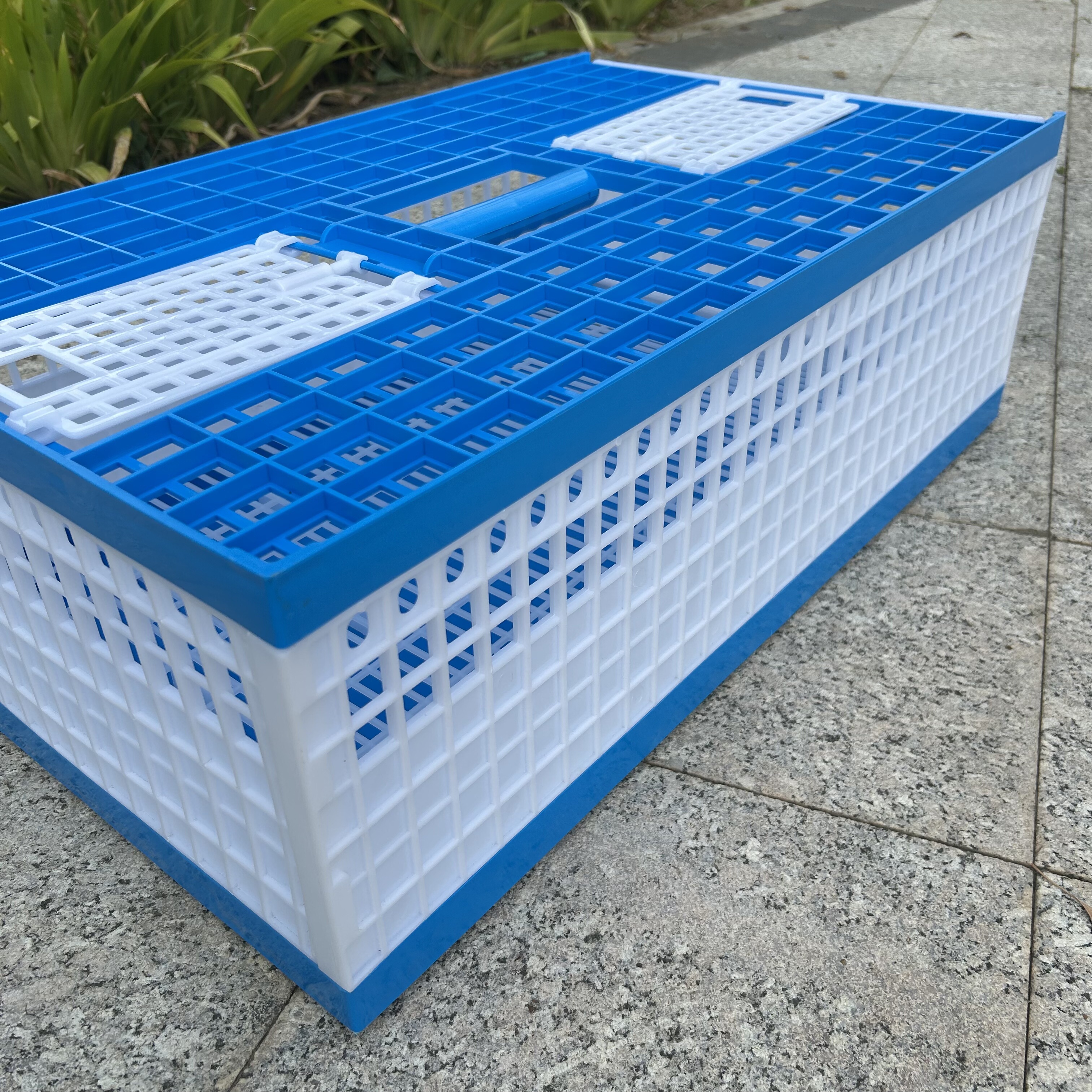 新款塑料不可折叠放飞笼70*42*23鸽子训放笼优质料结实耐用易清洗