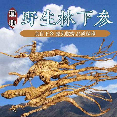 泡酒整根煲汤正宗中药材人参