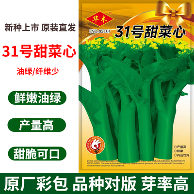 31号甜菜心种子广东菜心种籽