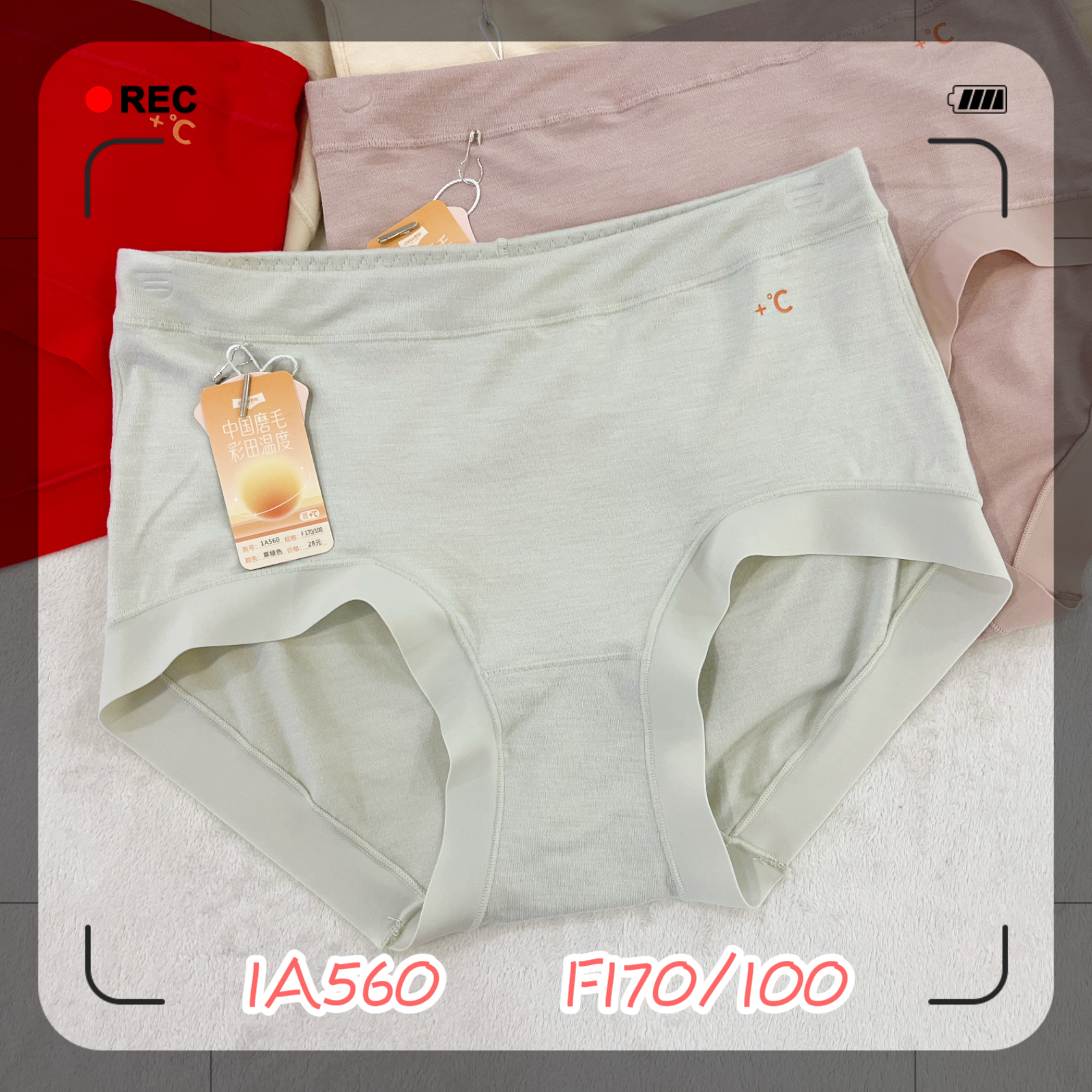 彩田内裤磨毛高腰1A560女三角裤
