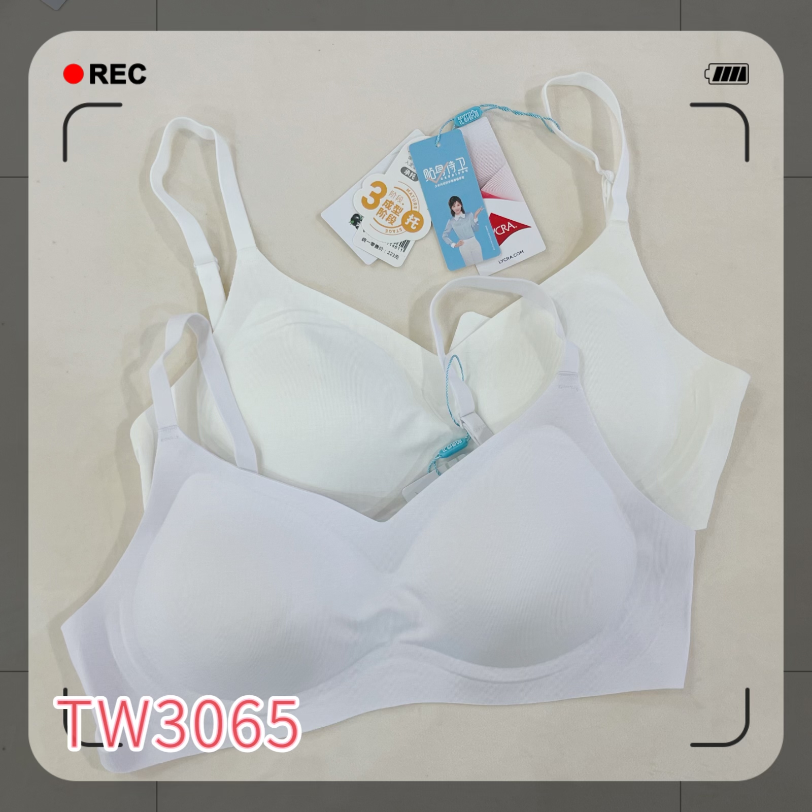 贴身侍卫第三阶段少女内衣新款女运动聚拢无钢圈U型无痕美背文胸