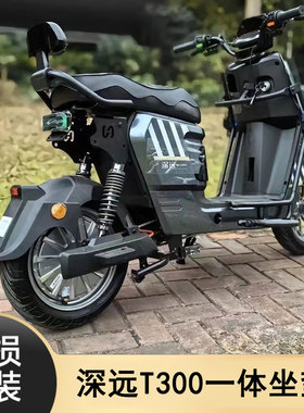 深远T300一体坐垫短尾扶手靠背改装配毛毛虫菱形53cm后座包直上