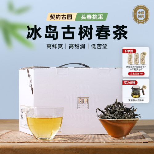 云南冰岛古树普洱茶生茶冰岛春尖