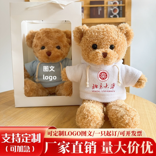 定制小熊穿衣泰迪熊毛绒玩具公仔