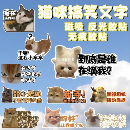 搞笑猫咪车贴猫meme汽车反光贴