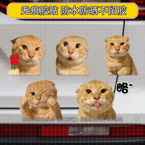 耄耋车贴猫meme表情包贴画