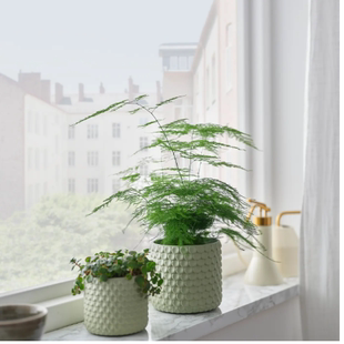新品IKEA宜家 格拉西比约 装饰用花盆桌面植物花盆北欧代购