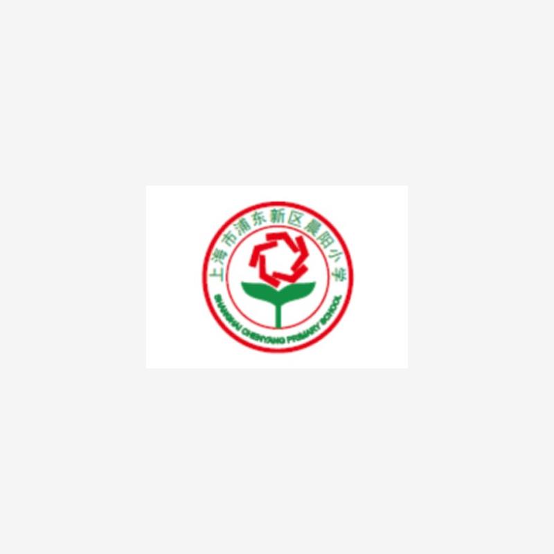 上海市浦东新区晨阳小学校服图片