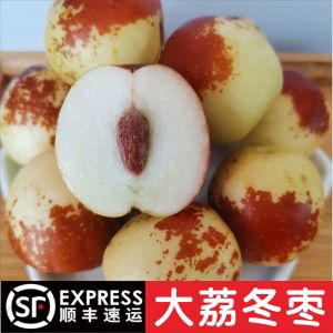 农家自产陕西特产大荔冬枣精品