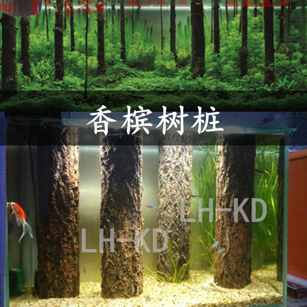 鱼缸树桩造景森林,示意图,木化石(第15页)_大山谷图库