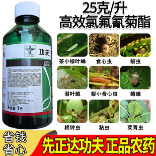 先正达功夫高效氯氟氰菊酯茶小绿叶蝉蝽蟓蚜虫广谱杀虫剂正品农药