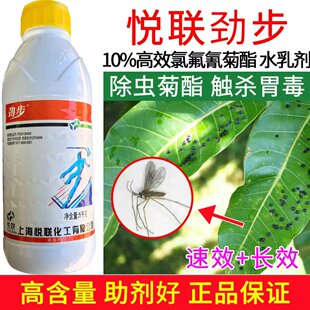 劲步10%高效氯氟氰菊酯 香蕉茶树芒果树叶瘿蚊蚜虫蓟马农药杀虫剂