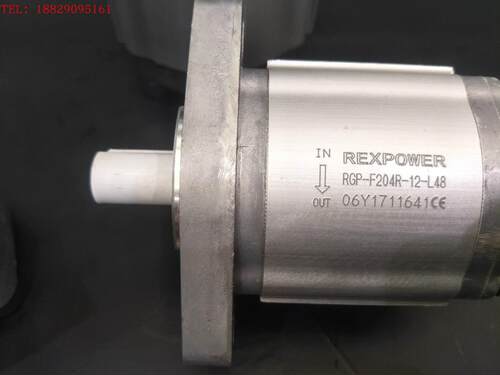 液压齿轮泵 齿轮泵 齿轮油泵 RGP-F204R-12-L48 台湾锐力齿轮泵
